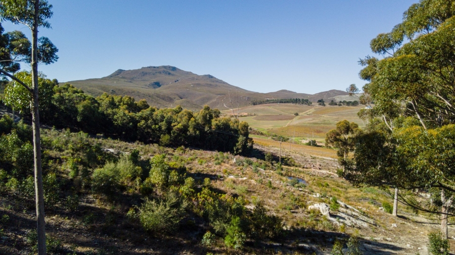 Commercial Property for Sale in Hemel and Aarde Western Cape